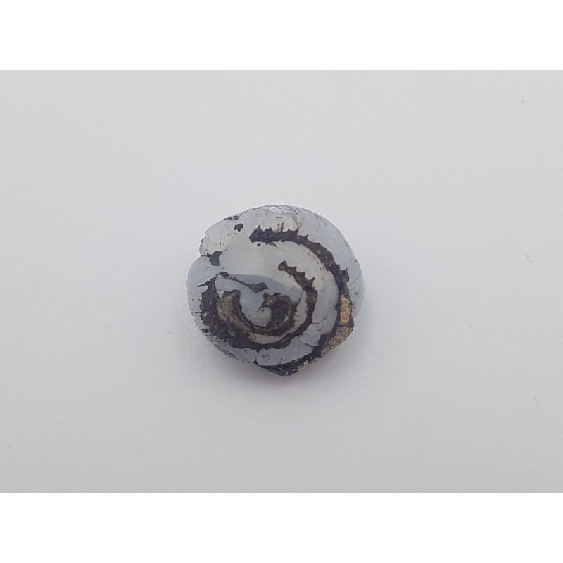 Escargot Helix ramondi fossile en lussatite