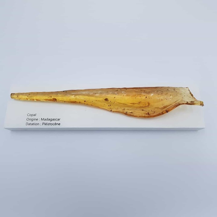 Copal (ambre) de Madagascar