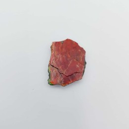 Ammolite (Placenticeras meeki)