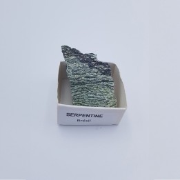 serpentine