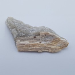 bois pétrifié 2
