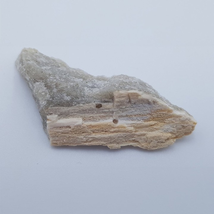 bois pétrifié 2