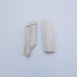 bois pétrifié 3
