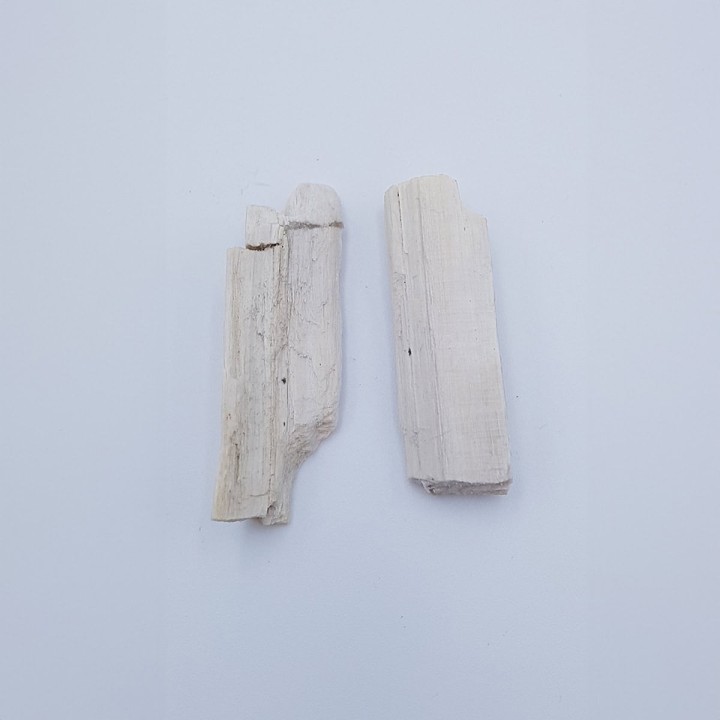 bois pétrifié 3