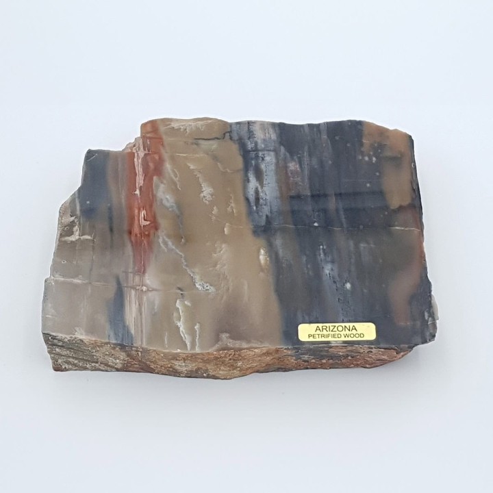 bois pétrifié 6