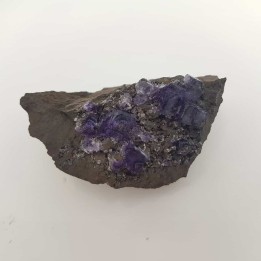 Fluorine du Mexique