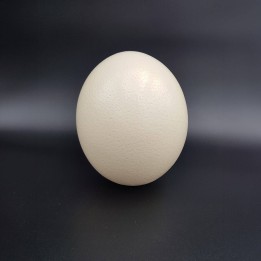 Œuf d'autruche