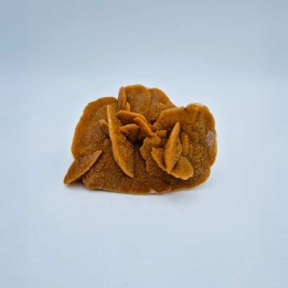 Rose des sables