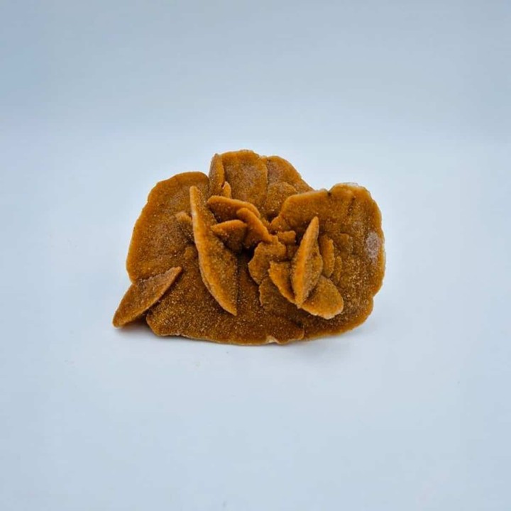 Rose des sables