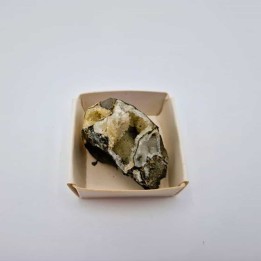 Ammonite avec minéraux (2)