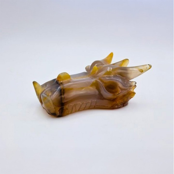 Crâne de dragon en agate