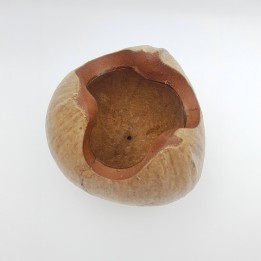 noix de coco découpée décorative
