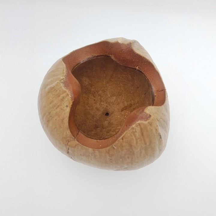 noix de coco découpée décorative