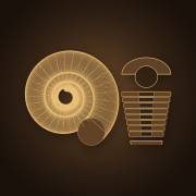 Fossiles d'ammonites et trilobites