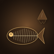 Fossiles de poisson et de requin